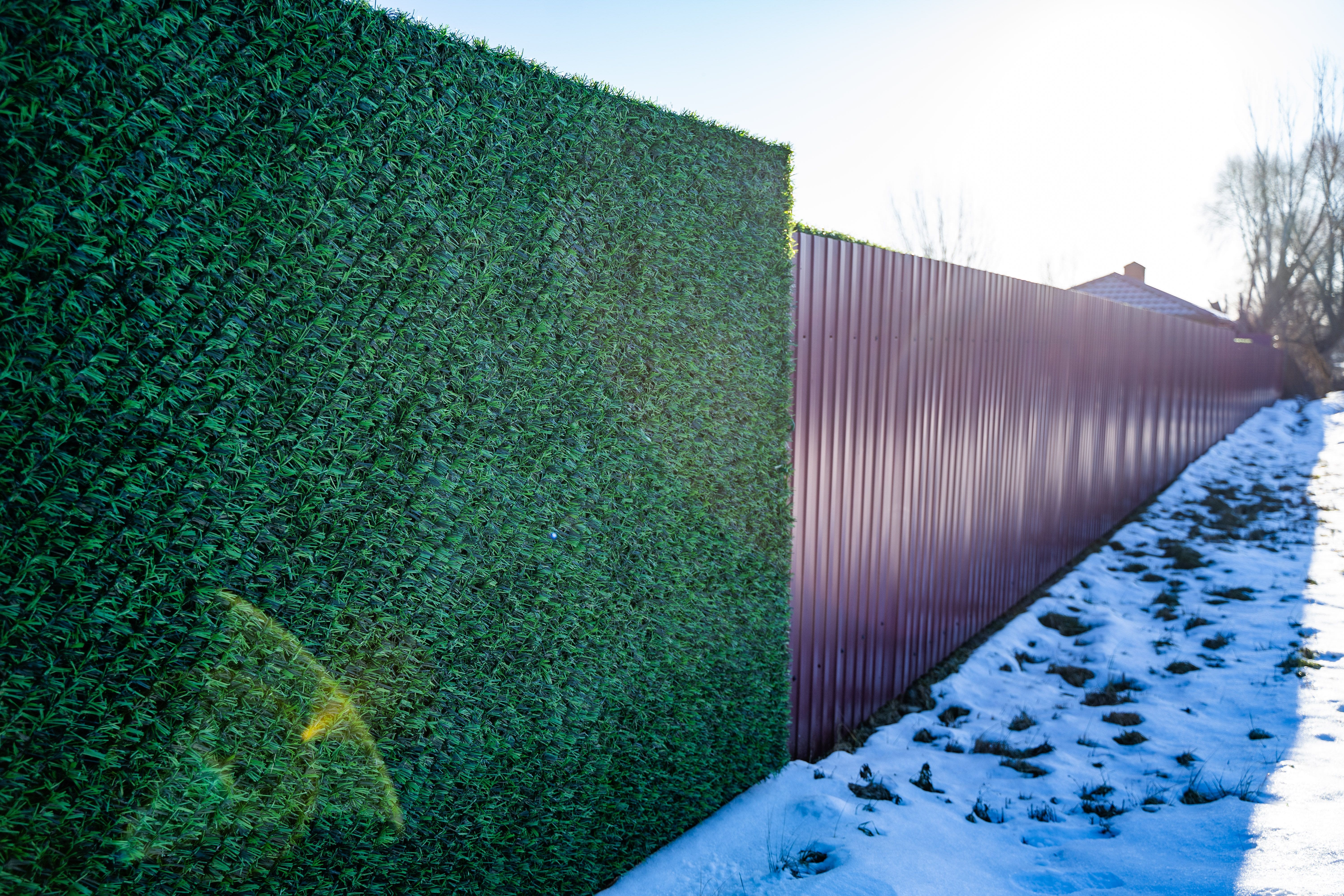 Вечнозеленый забор Grass Fence рулон 2м фото 11 в Брянске