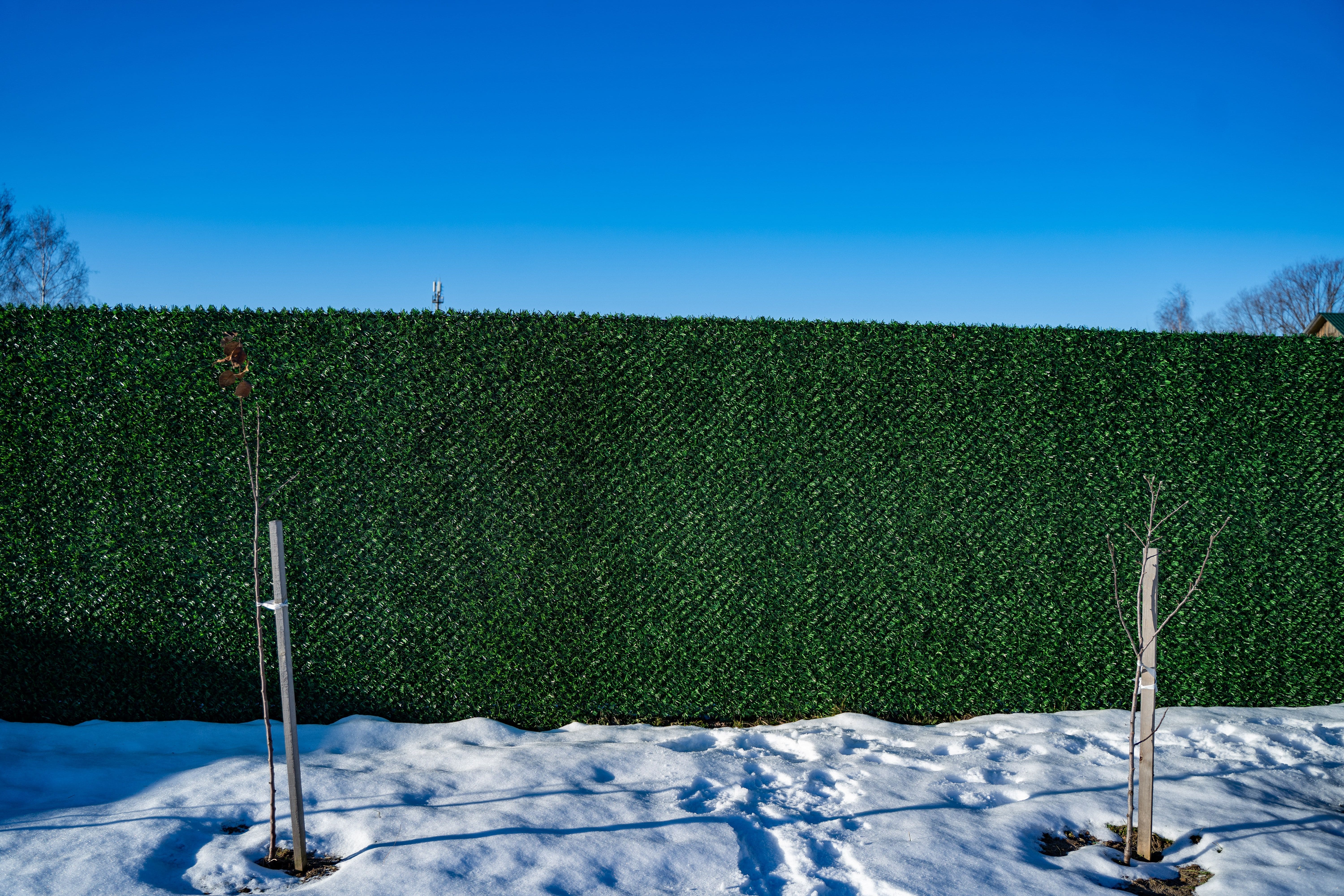 Вечнозеленый забор Grass Fence рулон 2м фото 8 в Брянске